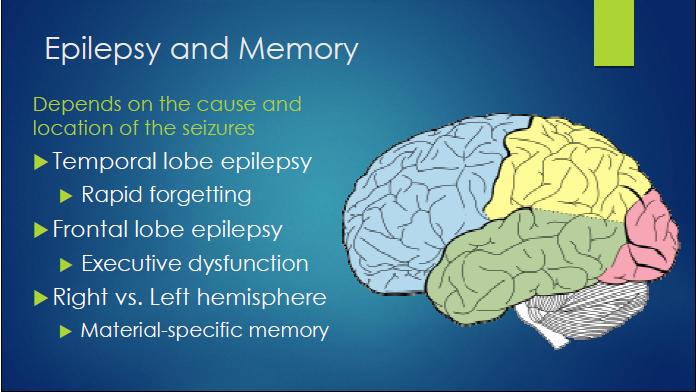 bc epilepsy