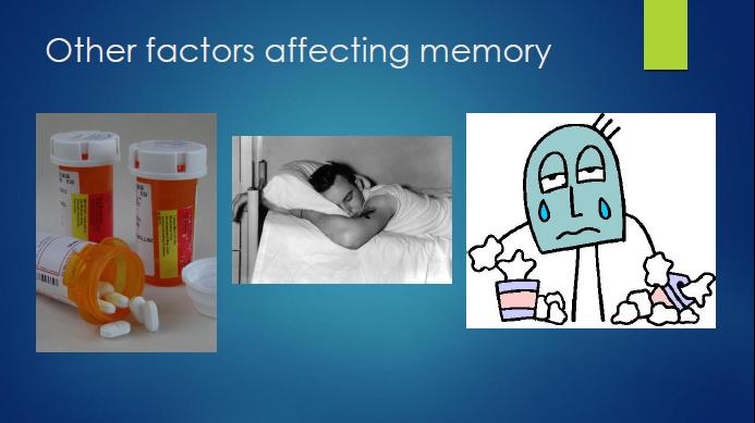 bc epilepsy