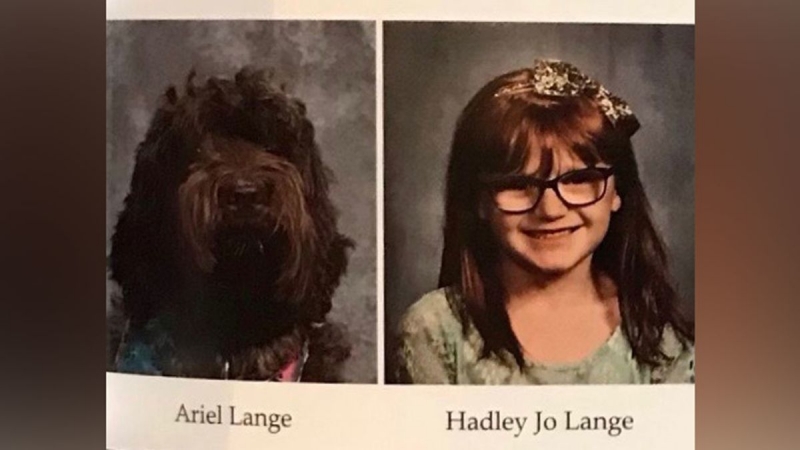 Service Dogs for People Living with Epilepsy