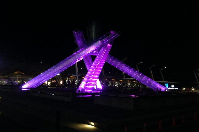 Epilepsy Awareness Action!