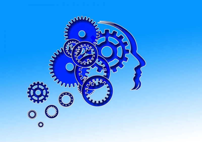 The Top Five Developments in Epilepsy for 2014