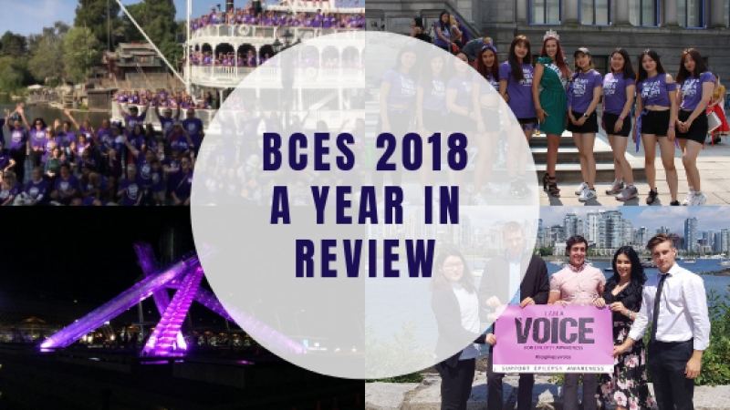 BCES 2018 A Year in Review