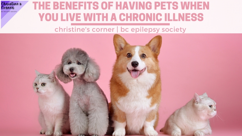 The Benefits of Having Pets When You Live with a Chronic Illness