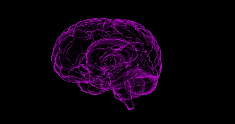 The Relationship Between Memory and Epilepsy