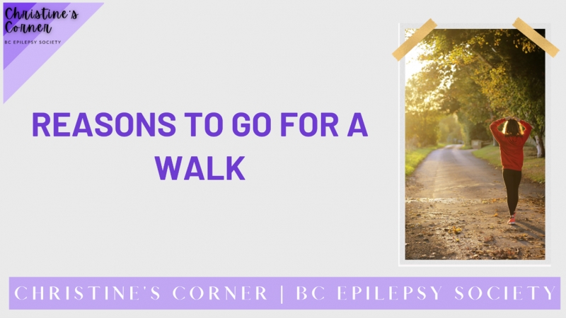The Reasons to Consider Going for a Walk