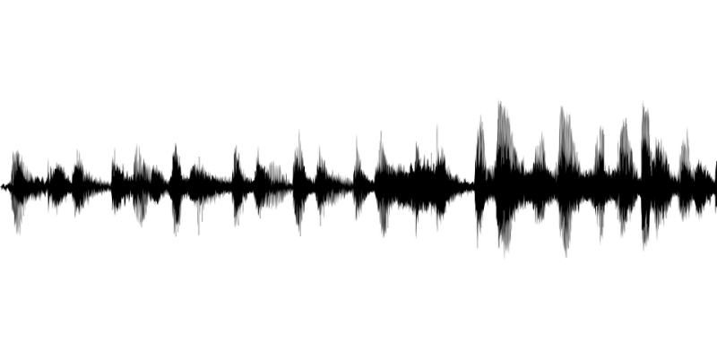 Living at Full Volume with Epilepsy