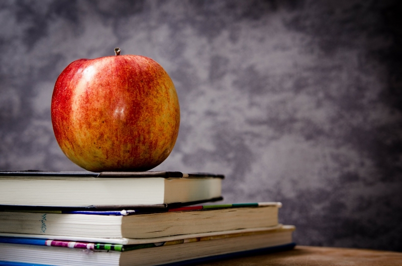 Back to School: An Action Plan